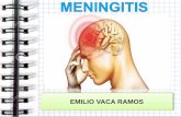 que es la meningitis