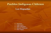 Los Mapuches