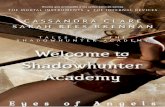 Bienvenidos a la academia de cazadores de sombras
