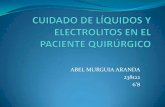 Cuidado de liquidos y electrolitos en el paciente