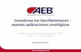 Llevats no-Saccharomyces: Noves aplicacions enològiques. AEB Iberica SA