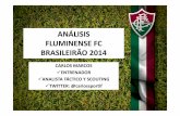 Análisis fluminense fc_brasileirão_2014