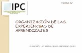 Organización de las experiencias de aprendizajes