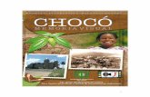 Historia de la Fotografía en el Chocó  - Memoria  Visual