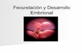 fecundación y desarrollo embrional