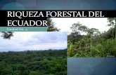 Riqueza forestal del_ecuador