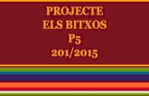 PROJECTE BITXOS P5