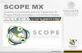 Scope mex 2013 v2