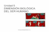 Tema 5 Dimensión biológica del ser humano