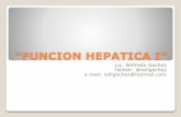 Funcion hepatica I