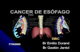 Copia de cancer de esófago dbc  final