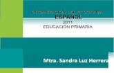 Organizacion programa de español1