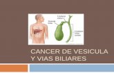 Cancer de vesicula y vias biliares