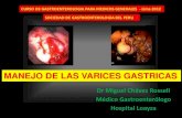 Varices gastricas. miguel chavez rossell