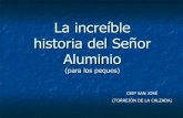 La increíble historia del señor aluminio