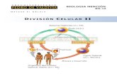 PDV: Biología Mención Guía N°10 [4° Medio] (2012)