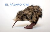El pájaro kiwi  corregido