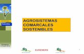 PresentacióN Agrosistemas Sostenibles Enero 2010