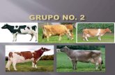 Caracteristicas fenotipicas vacas lecheras