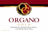 Presentacion Organo Gold
