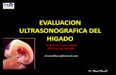 Evaluacion ultrasonografica del  higado ii 2013.pdf dr. romel flores imumr