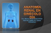 Anatomía renal en ginecología
