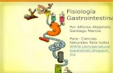 Fisiología gastrointestinal