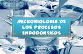 Presentacion Microbiologia endodontica