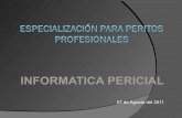 Especialización para peritos profesionales 3