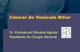 Cancer De Vesicula Biliar