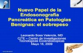 Nuevo Papel de la Endosonografía Pancreática en Patologías Benignas-el Sobrepeso