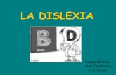 Dislexia inf2006
