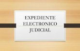 Expediente electronico judicial