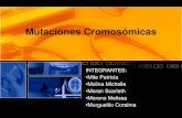 Mutaciones cromosómicas