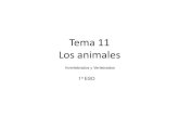 Tema 11 los animales