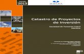 Catastro de proyectos de inversión  2013