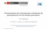 Circulaciones de mesoescala y sistemas de precipitación en los Andes peruanos