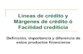 Líneas de crédito y márgenes de crédito.