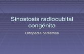 Sinostosis radiocubital congenita