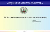 Procedimiento de amparo constitucional en Venezuela.