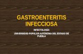 Gastroenteritis infecciosa