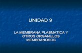 Unidad 9. membrana plasmática y otros orgánulos membranosos