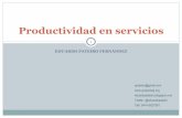 Eduardo Pateiro: Productividad en Servicios (Material vc cidec junio 2011)