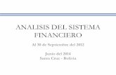 Análisis del sistema financiero   2012 - 13