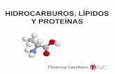 Hidrocarburos - Lipidos - Proteinas / Informatica 2013