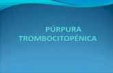Purpura trombocitopénica