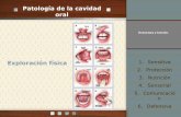 Patología oral y de glándulas salivales. dr fonseca. caballero aliaga