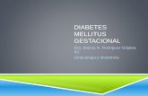 Diabetes diagnostico actualizacion