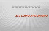 Presentación Curso 2013-2014 - I.E.S. Lomo Apolinario