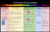 (Terminat)taula de les estructures de les proteïnes